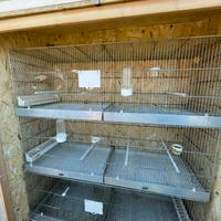 Voliera/ batteria gabbie