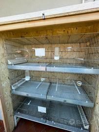 Voliera/ batteria gabbie