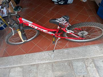 Bici bambino