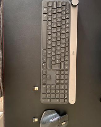 Logitech craft mx3s master