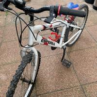 Bicicletta mountainbike