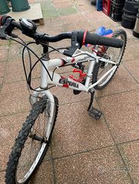 Bicicletta mountainbike