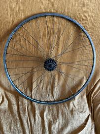 Cerchio posteriore NISI epoca