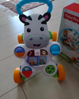 primi passi Zebra
