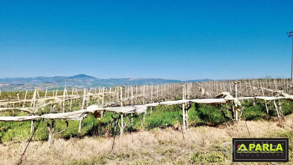 Terreno di 65000 m² a Caltanissetta - Vista 5