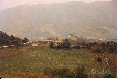 Azienda agricola podere valdonica