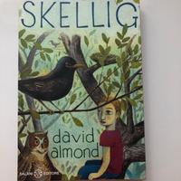Libro Skellig