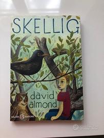 Libro Skellig