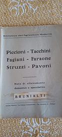 Manuale d'epoca Allevamento Piccioni Tacchini ...