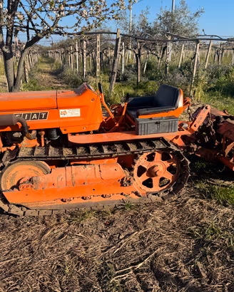 Trattore cingolato FIAT 455 C vangatrice TORTELLA