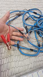 luce pesca in profondità, calamari 