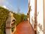 Immagine 14