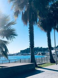 Varazze centralissimo.6 Posti