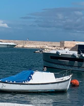 Barca  senza patente