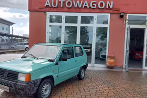 FIAT Panda 1ª serie 1100 i.e. cat Young