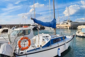 Barca a Vela  CNSO Daimio 23