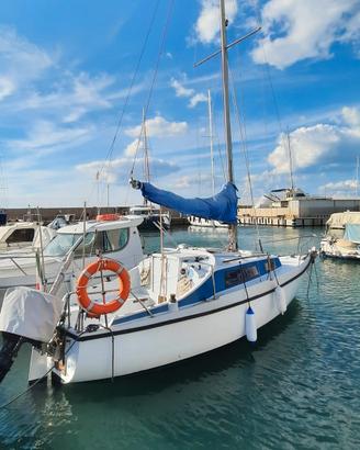 Barca a Vela  CNSO Daimio 23