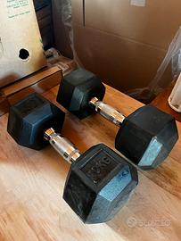 Manubri da 10KG