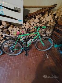 mountain bike marca Olmo 