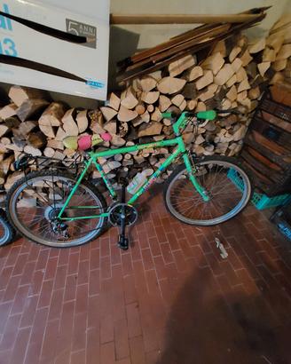 mountain bike marca Olmo 