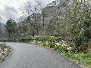Terreno 10000 mq