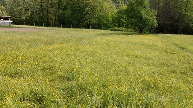 Terreni Agricoli a Gravellona Toce