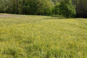 Terreni Agricoli a Gravellona Toce