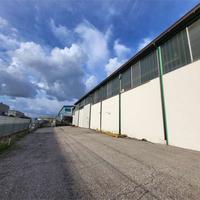 CAPANNONE DI 1.200 MQ - LIBERO DA SUBITO