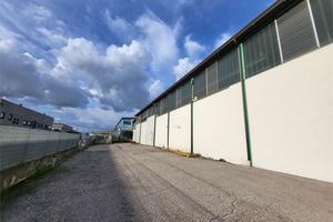 CAPANNONE DI 1.200 MQ - LIBERO DA SUBITO