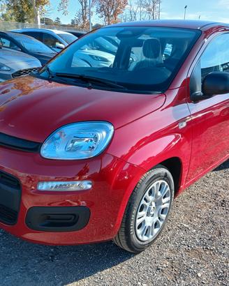 Fiat Panda 1.0 FireFly S&S Hybrid Pandina
