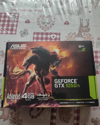 scheda video asus