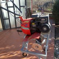 Motozappa BENASSI BL 35