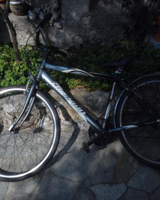 Bici City Bike