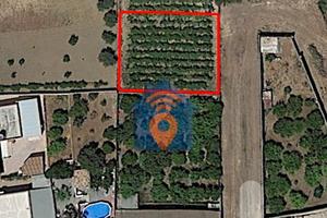 Castelvetrano Edificabile In Zona Via Bresciana