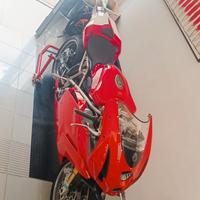 Ducati 999S Monoposto 