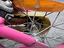 Immagine 5