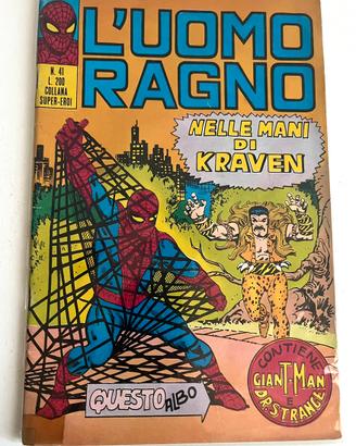 UOMO RAGNO N. 41
