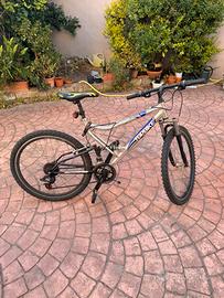 bicicletta mountain bike