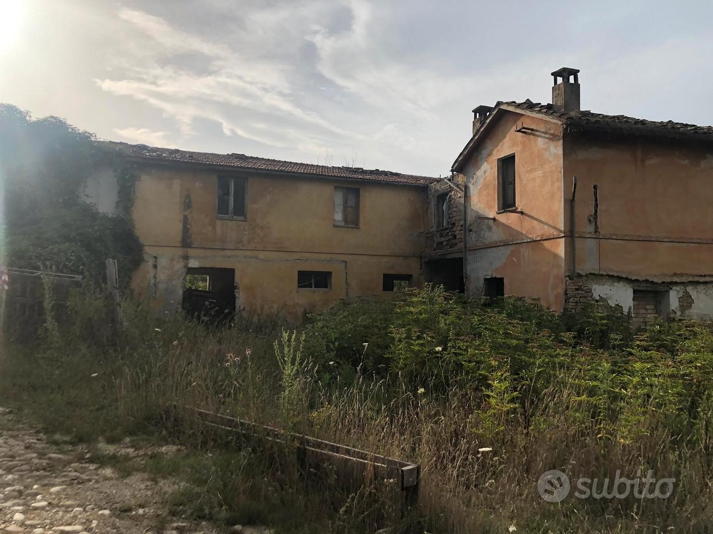 Azienda Agricola Biologica - Vista 5