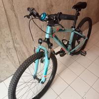Bicicletta MTB 24