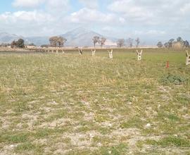 Terreno, zona Mondragone