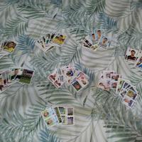 Lotto di 181 figurine Panini 15/16 tutte diverse