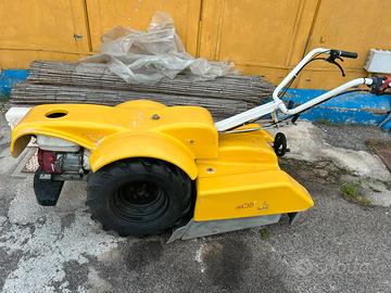 Pulisci spiaggia Scam Ondina