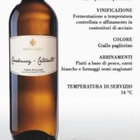 Vini siciliani di alta qualità