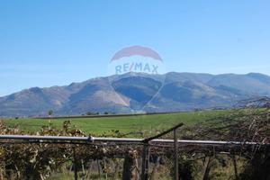 Terreno agricolo 2,25 ha Via Malatesta Velletri