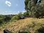 Immagine 22