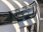Immagine 7