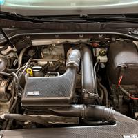 Aspirazione diretta im carbonio 1.4 TSI dal 2015