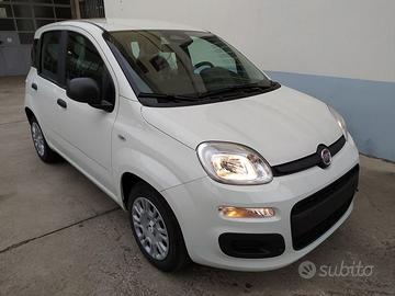 FIAT Panda 1.0 Hybrid Finanziato