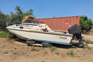 Boston Whaler Revenge v-22